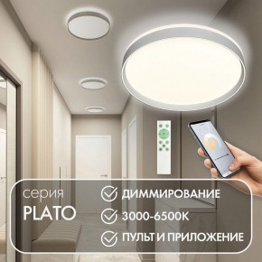 Накладной светильник Denkirs PLATO DK6511-WH/1 в Озерске - ozersk.mebel24.online | фото 4