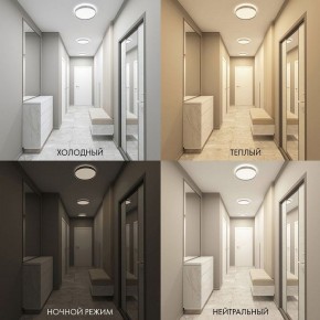 Накладной светильник Denkirs PLATO DK6511-WH/1 в Озерске - ozersk.mebel24.online | фото 5