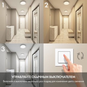 Накладной светильник Denkirs Cany DK6516-WH в Озерске - ozersk.mebel24.online | фото 6