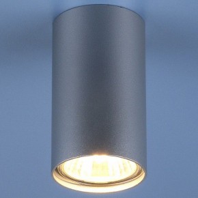 Накладной светильник Elektrostandard 1081 a037714 в Озерске - ozersk.mebel24.online | фото