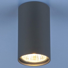 Накладной светильник Elektrostandard 1081 a038615 в Озерске - ozersk.mebel24.online | фото