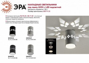 Накладной светильник Эра OL10 Б0050268 в Озерске - ozersk.mebel24.online | фото 5