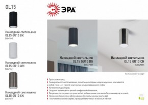 Накладной светильник Эра OL15 GU10 WH Б0049041 в Озерске - ozersk.mebel24.online | фото 5