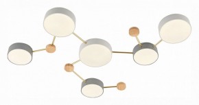 Накладной светильник EVOLUCE Dossena SLE600102-06 в Озерске - ozersk.mebel24.online | фото 3