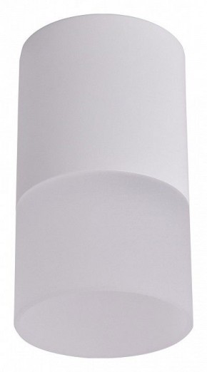 Накладной светильник Favourite Naram 3069-1C в Озерске - ozersk.mebel24.online | фото