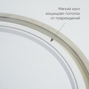 Накладной светильник Feron AL6200 48071 в Озерске - ozersk.mebel24.online | фото 5