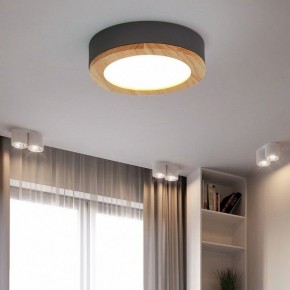 Накладной светильник Imperiumloft Wudda Серый WUDDA01 в Озерске - ozersk.mebel24.online | фото 3
