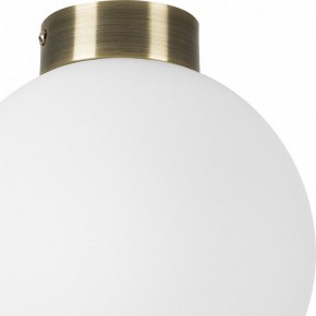 Накладной светильник Lightstar Globo 812021 в Озерске - ozersk.mebel24.online | фото 3