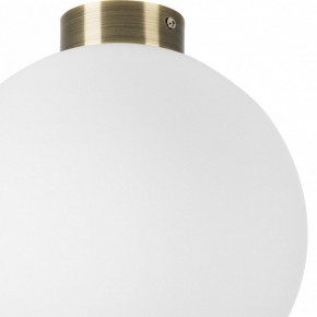 Накладной светильник Lightstar Globo 812031 в Озерске - ozersk.mebel24.online | фото 3