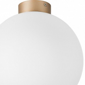 Накладной светильник Lightstar Globo 812033 в Озерске - ozersk.mebel24.online | фото 2
