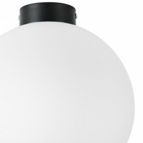 Накладной светильник Lightstar Globo 812037 в Озерске - ozersk.mebel24.online | фото 3