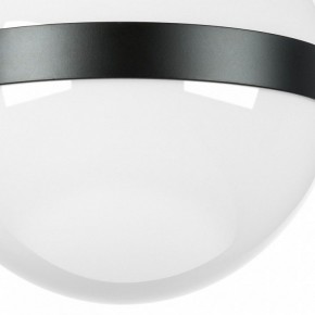 Накладной светильник Lightstar Globo 812117 в Озерске - ozersk.mebel24.online | фото 3
