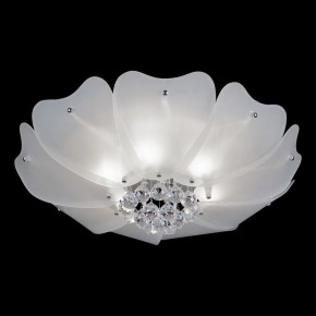 Накладной светильник Lightstar Lobo 804020 в Озерске - ozersk.mebel24.online | фото 2