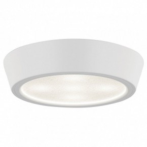 Накладной светильник Lightstar Urbano 214902 в Озерске - ozersk.mebel24.online | фото