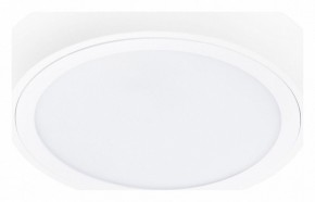 Накладной светильник Lightstar Urbano 216902 в Озерске - ozersk.mebel24.online | фото 1