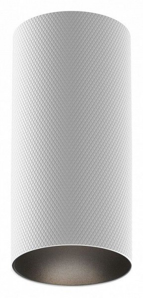 Накладной светильник Maytoni Artisan C080CL-01-GU10-W в Озерске - ozersk.mebel24.online | фото