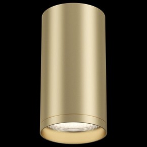 Накладной светильник Maytoni Focus S C052CL-01MG в Озерске - ozersk.mebel24.online | фото 2