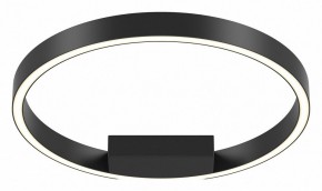 Накладной светильник Maytoni Rim MOD058CL-L25BK в Озерске - ozersk.mebel24.online | фото