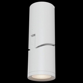 Накладной светильник Maytoni Tube C019CW-01W в Озерске - ozersk.mebel24.online | фото 2