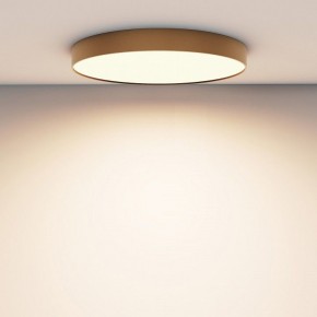 Накладной светильник Maytoni Zon C032CL-90W3K-RD-MG в Озерске - ozersk.mebel24.online | фото 4
