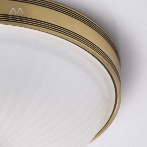 Накладной светильник MW-Light Ангел 12 295013402 в Озерске - ozersk.mebel24.online | фото 7