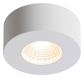 Накладной светильник Odeon Light Bene 4282/7CL в Озерске - ozersk.mebel24.online | фото 2