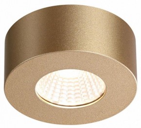 Накладной светильник Odeon Light Bene 4284/7CL в Озерске - ozersk.mebel24.online | фото 4
