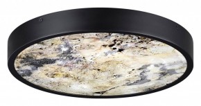 Накладной светильник Odeon Light Bergi 5064/24L в Озерске - ozersk.mebel24.online | фото 4