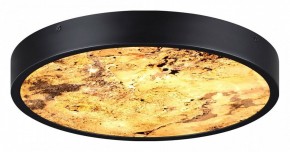 Накладной светильник Odeon Light Bergi 5064/24L в Озерске - ozersk.mebel24.online | фото 5