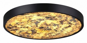 Накладной светильник Odeon Light Bergi 5064/40L в Озерске - ozersk.mebel24.online | фото 2
