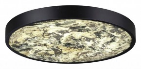 Накладной светильник Odeon Light Bergi 5064/40L в Озерске - ozersk.mebel24.online | фото 3