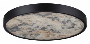 Накладной светильник Odeon Light Bergi 5064/40L в Озерске - ozersk.mebel24.online | фото 6