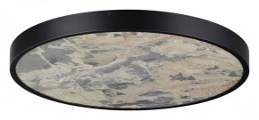 Накладной светильник Odeon Light Bergi 5064/50L в Озерске - ozersk.mebel24.online | фото 3
