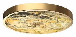 Накладной светильник Odeon Light Bergi 5079/40L в Озерске - ozersk.mebel24.online | фото 2