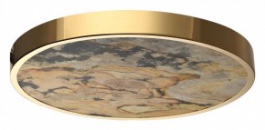 Накладной светильник Odeon Light Bergi 5079/40L в Озерске - ozersk.mebel24.online | фото 4