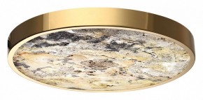 Накладной светильник Odeon Light Bergi 5079/40L в Озерске - ozersk.mebel24.online | фото 6