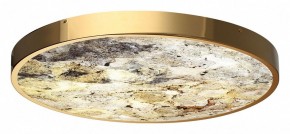 Накладной светильник Odeon Light Bergi 5079/50L в Озерске - ozersk.mebel24.online | фото 5