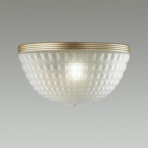 Накладной светильник Odeon Light Malaga 4936/1W в Озерске - ozersk.mebel24.online | фото 2