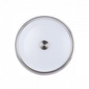 Накладной светильник Odeon Light Marsei 4825/3C в Озерске - ozersk.mebel24.online | фото 2