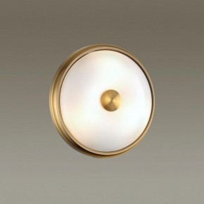 Накладной светильник Odeon Light Pelow 4956/2 в Озерске - ozersk.mebel24.online | фото 2