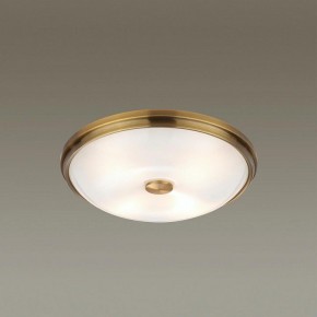Накладной светильник Odeon Light Pelow 4956/4 в Озерске - ozersk.mebel24.online | фото 2
