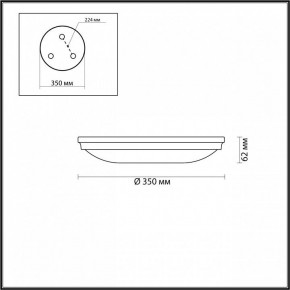 Накладной светильник Odeon Light Pelow 4956/4 в Озерске - ozersk.mebel24.online | фото 3