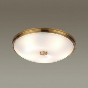 Накладной светильник Odeon Light Pelow 4956/5 в Озерске - ozersk.mebel24.online | фото 2