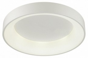 Накладной светильник Odeon Light Sole 4062/50CL в Озерске - ozersk.mebel24.online | фото 3