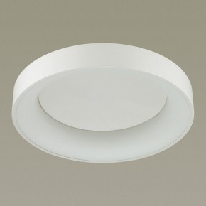 Накладной светильник Odeon Light Sole 4062/50CL в Озерске - ozersk.mebel24.online | фото 4