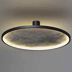 Накладной светильник Odeon Light Stoflake 5078/55L в Озерске - ozersk.mebel24.online | фото 8