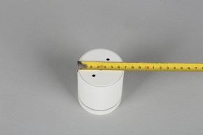 Накладной светильник Omnilux Capurso OML-102429-05 в Озерске - ozersk.mebel24.online | фото 6
