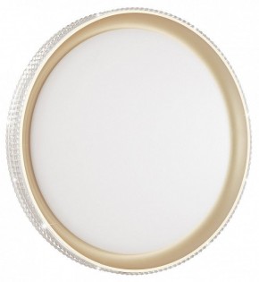 Накладной светильник Sonex Shiny 3054/EL в Озерске - ozersk.mebel24.online | фото 3