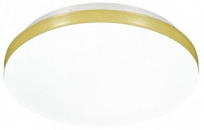 Накладной светильник Sonex Smalli 3066/AL в Озерске - ozersk.mebel24.online | фото 4