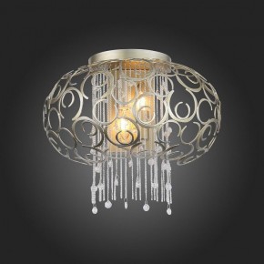 Накладной светильник ST-Luce Dolcima SL1101.201.02 в Озерске - ozersk.mebel24.online | фото 4